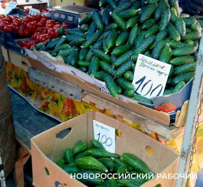 В Новороссийске подешевели огурцы, но до бюджетного салата еще далеко