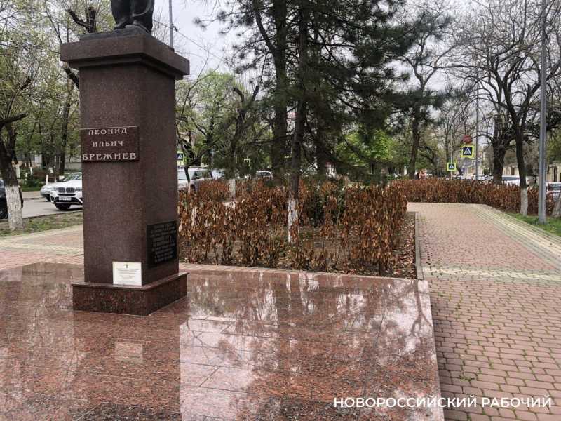 В Новороссийске погибающим кустарникам в сквере Брежнева проведут ботаническую экспертизу