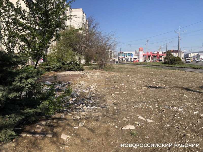 В Новороссийске пока не будут озеленять территорию после реконструкции «Лукойловской» развязки