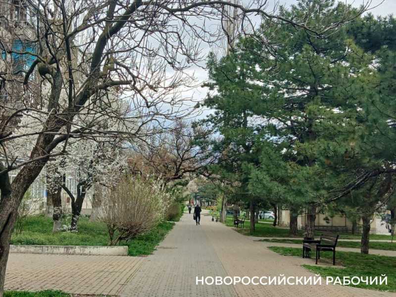 В Новороссийске пока не будут озеленять территорию после реконструкции «Лукойловской» развязки