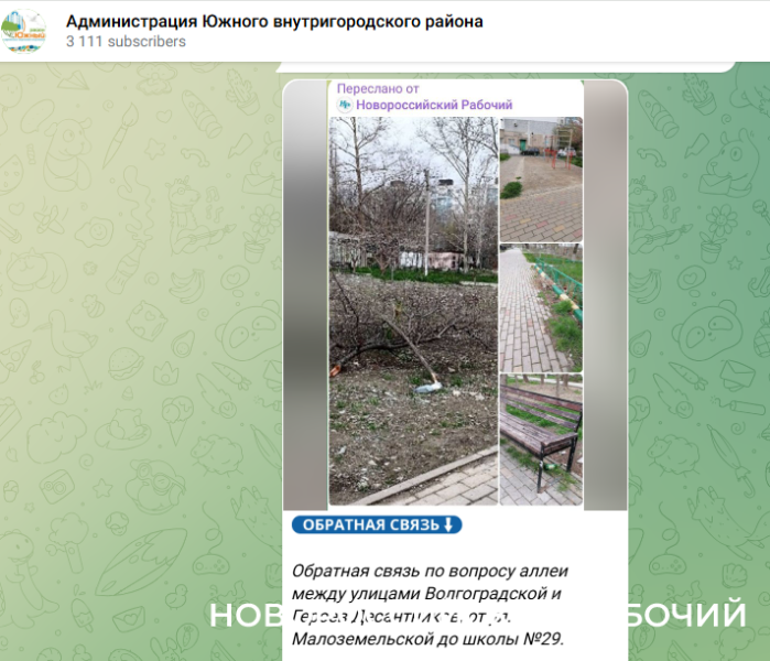 В Новороссийске после публикации «Новороссийского рабочего» решили, кто уберет аллею