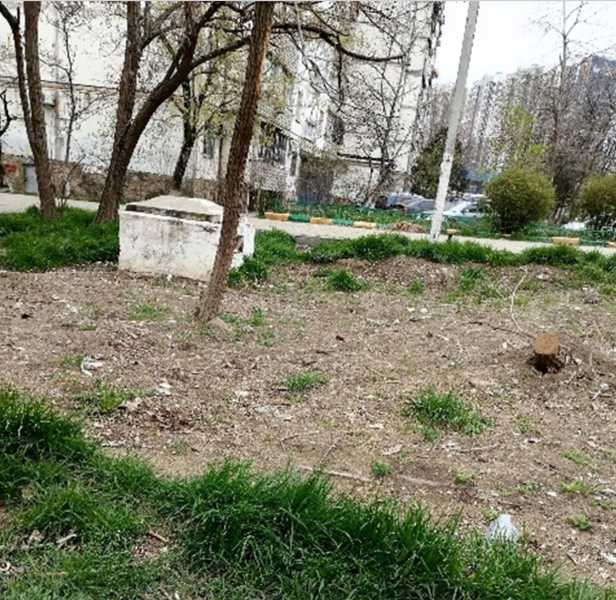 В Новороссийске после публикации «Новороссийского рабочего» решили, кто уберет аллею