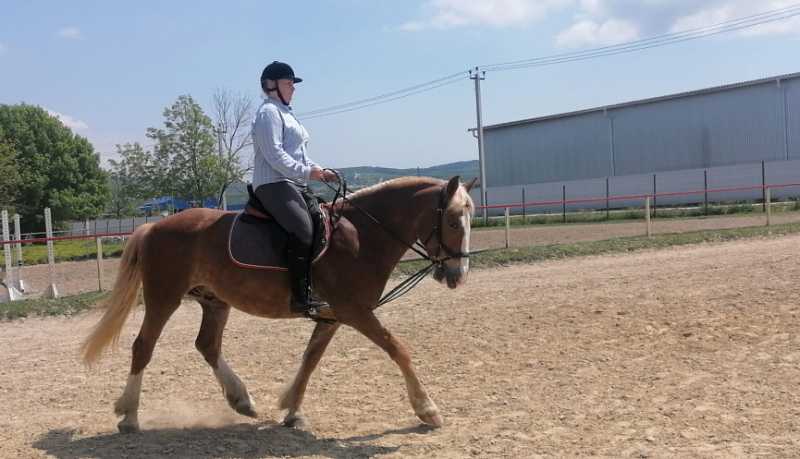 Чудеса иппотерапии: в Новороссийске выбрали параспортсменов для участия в конных соревнованиях в Таганроге