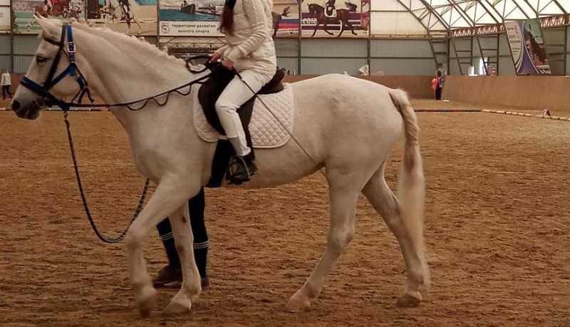 Чудеса иппотерапии: в Новороссийске выбрали параспортсменов для участия в конных соревнованиях в Таганроге