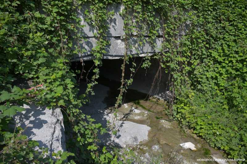 Дальнобойщики под Новороссийском устроили убежище на случай атаки БПЛА