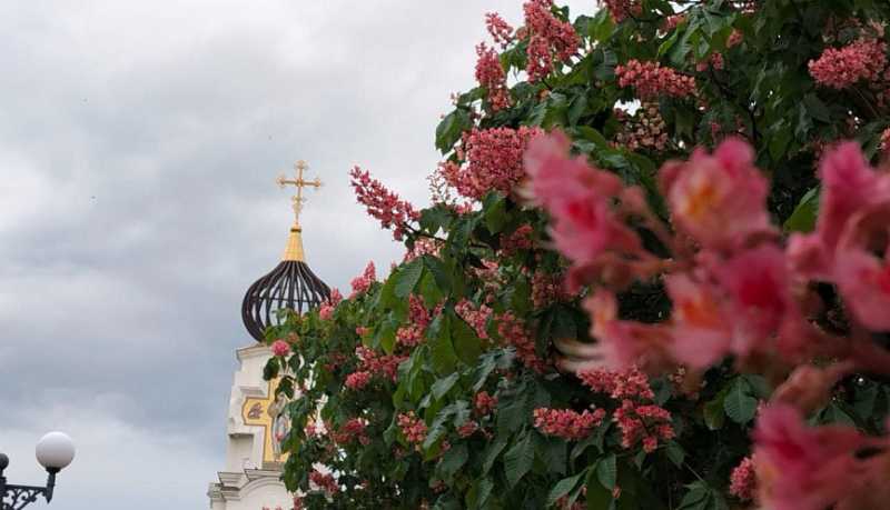 Информация о качестве атмосферного воздуха в городе Новороссийске за период наблюдений 10 мая