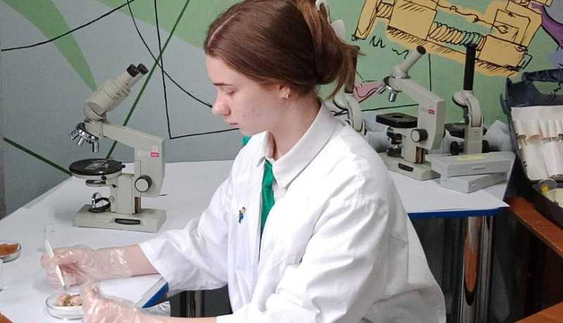 Юная исследовательница из Новороссийска победила на научной конференции