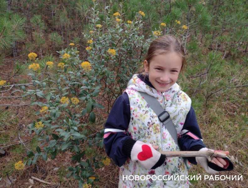 Как сэкономить в Ялте, забравшись на Ай-Петри. Личный опыт семьи журналиста из Новороссийска