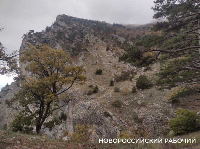 Как сэкономить в Ялте, забравшись на Ай-Петри. Личный опыт семьи журналиста из Новороссийска