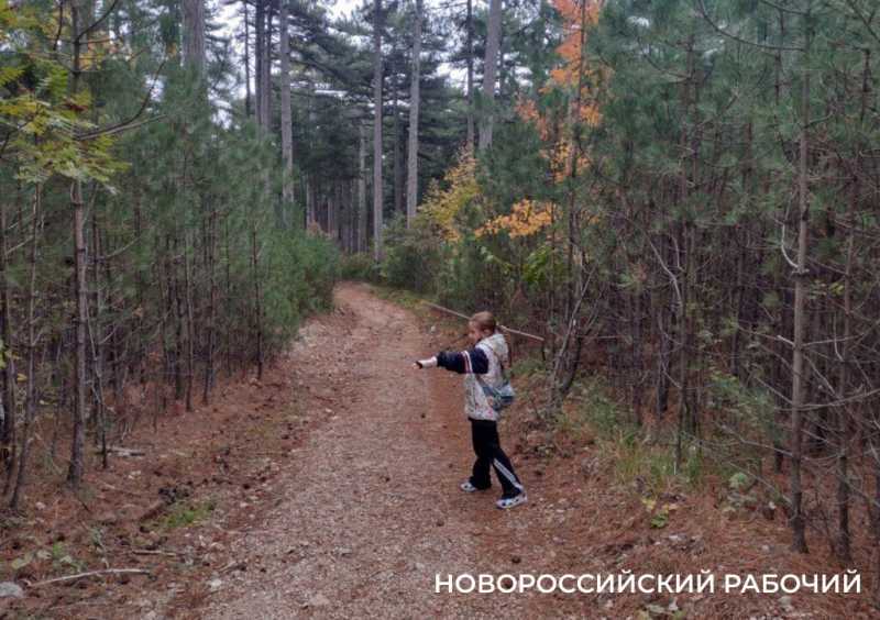 Как сэкономить в Ялте, забравшись на Ай-Петри. Личный опыт семьи журналиста из Новороссийска