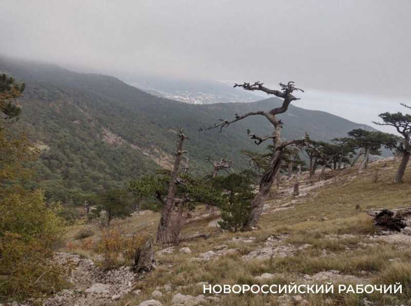 Как сэкономить в Ялте, забравшись на Ай-Петри. Личный опыт семьи журналиста из Новороссийска