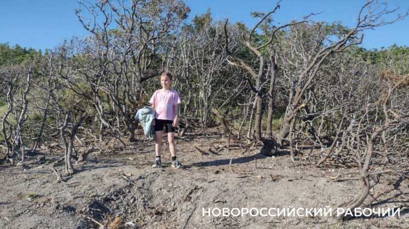 Ковры незабудок, вой шакалов, загадочный провал. Погода в Новороссийске зовет в поход на Колдун