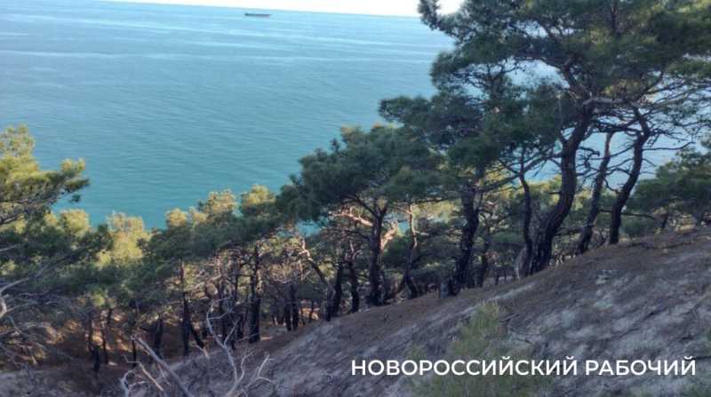Ковры незабудок, вой шакалов, загадочный провал. Погода в Новороссийске зовет в поход на Колдун