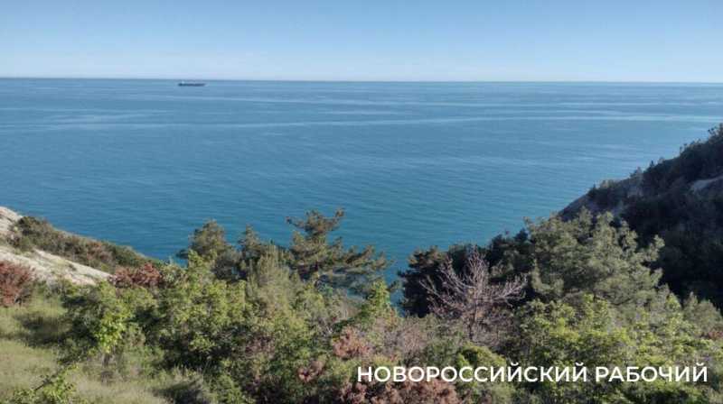 Ковры незабудок, вой шакалов, загадочный провал. Погода в Новороссийске зовет в поход на Колдун