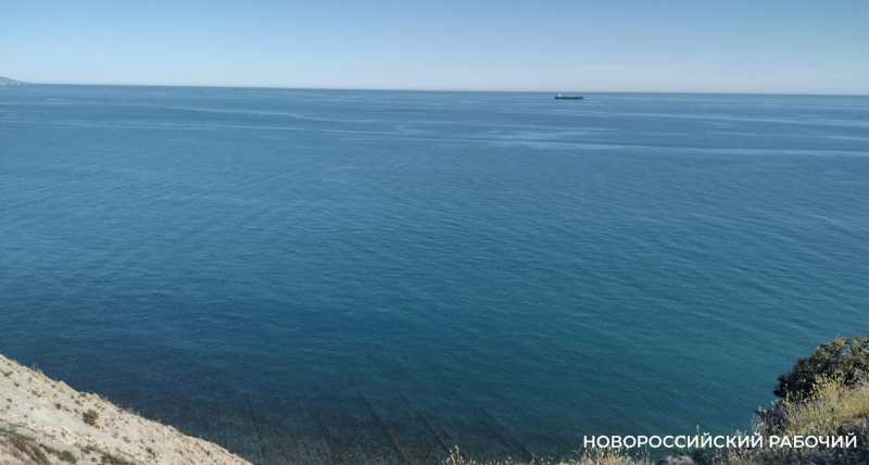 Морскую воду и рыбу Новороссийска проверили по 60 показателям