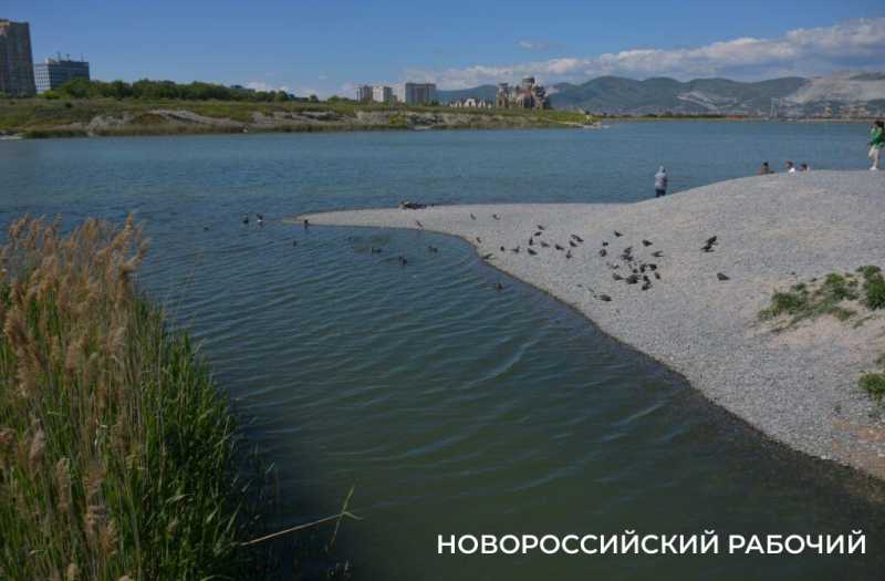 На лагуне Новороссийска Минприроды края планирует построить бетонное берегоукрепление и волноломы