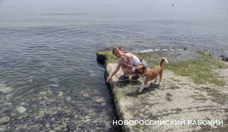 «На пляже невозможная вонь!» Местные в Новороссийске не понимают, как открывать сезон, когда канализация течет на берег