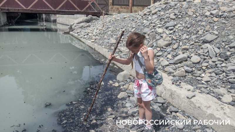 «На пляже невозможная вонь!» Местные в Новороссийске не понимают, как открывать сезон, когда канализация течет на берег