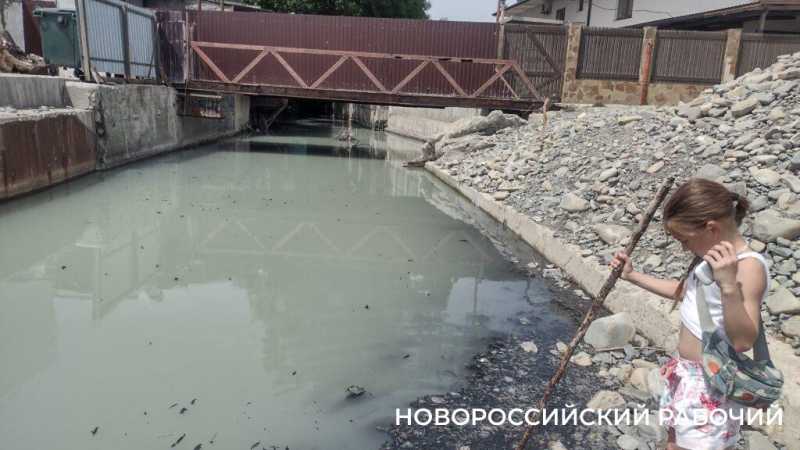 «На пляже невозможная вонь!» Местные в Новороссийске не понимают, как открывать сезон, когда канализация течет на берег