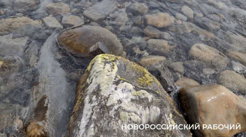 «На пляже невозможная вонь!» Местные в Новороссийске не понимают, как открывать сезон, когда канализация течет на берег
