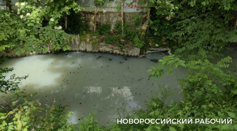 «На пляже невозможная вонь!» Местные в Новороссийске не понимают, как открывать сезон, когда канализация течет на берег