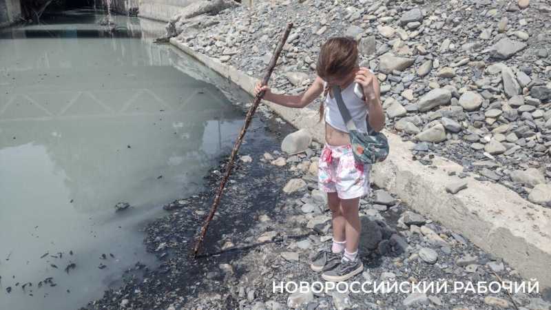 «На пляже невозможная вонь!» Местные в Новороссийске не понимают, как открывать сезон, когда канализация течет на берег