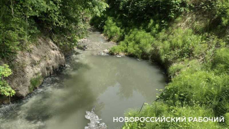 «На пляже невозможная вонь!» Местные в Новороссийске не понимают, как открывать сезон, когда канализация течет на берег