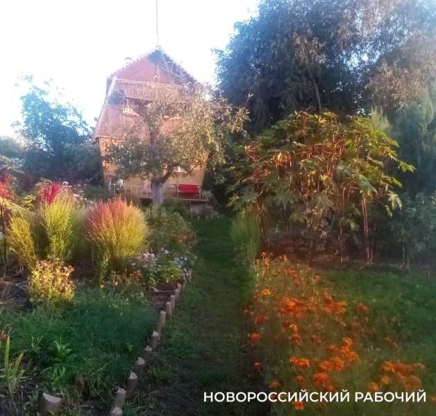 Народные средства против вредителей помогут обойтись без «химии»