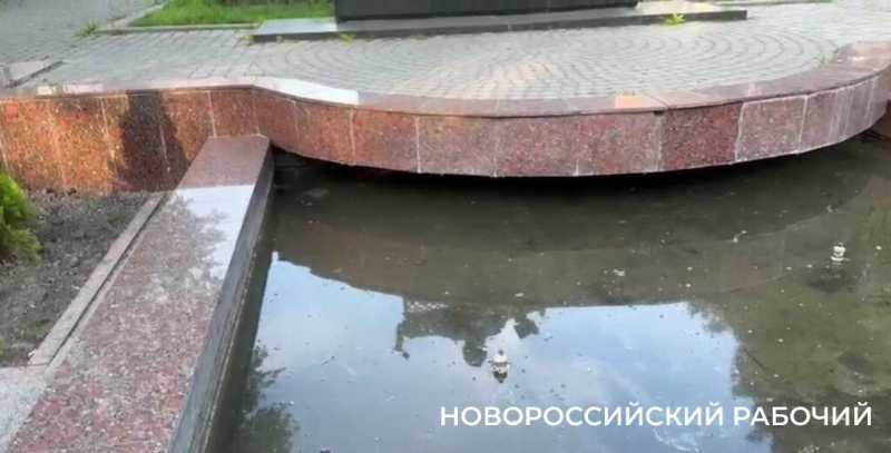 «Не кидайте их в воду!» В Новороссийске жители в центре города спасают жаб