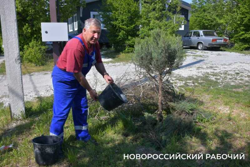 Новороссийские дачники не могут оторваться от грядок. А завтра на работу!