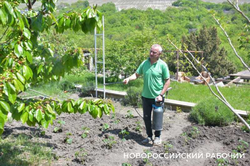 Новороссийские дачники не могут оторваться от грядок. А завтра на работу!