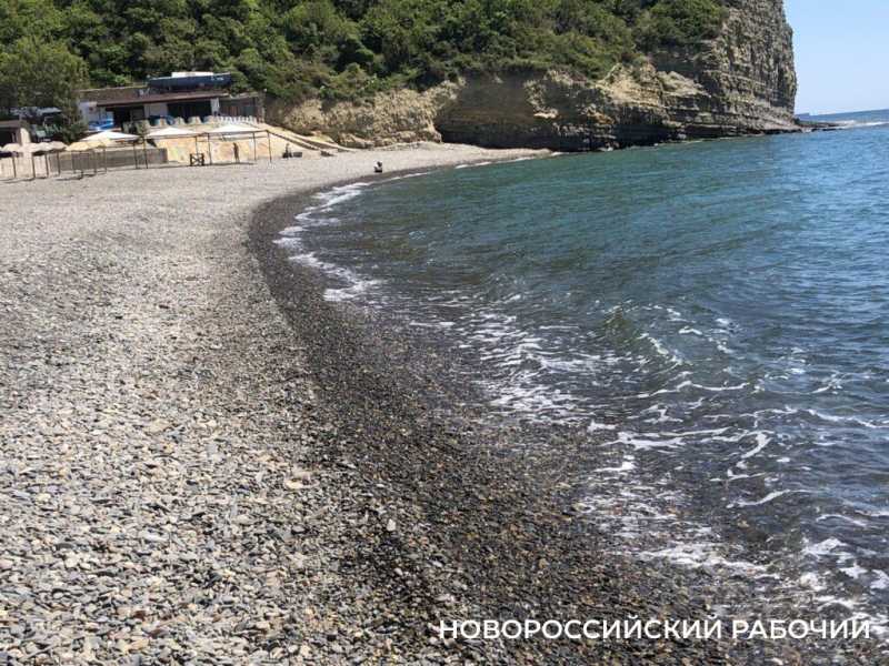 Пляж Дюрсо под Новороссийском: тишина, чистое море, зонты от солнца, как солдаты перед атакой