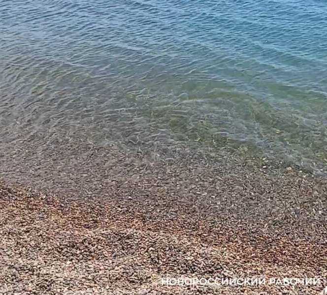Пляж Мысхако в Новороссийске хорош пока только для воздушных ванн