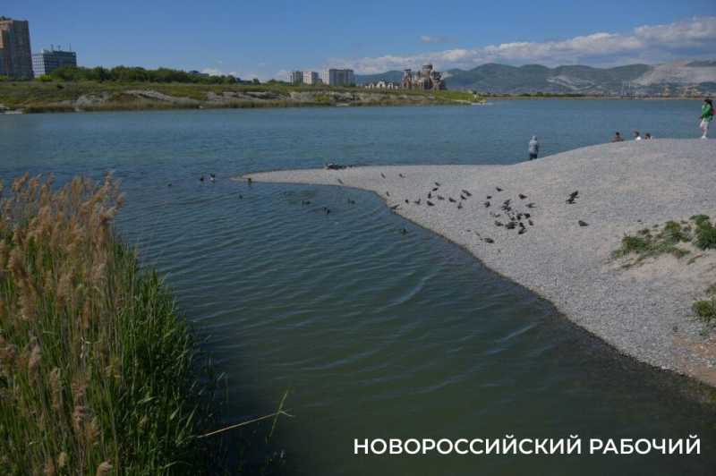 Погода бы не подвела… Пляжи на косе в Новороссийске уже ждут не дождутся!