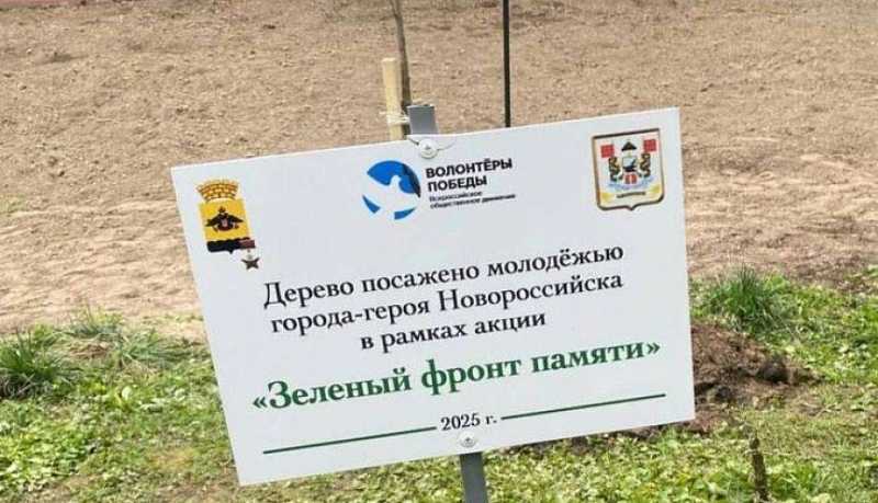 Приняв участие в проекте «Зеленый фронт памяти», новороссийская молодежь передала саженцы деревьев в Смоленск и Брест