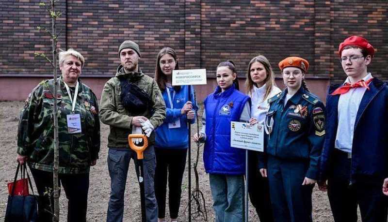 Приняв участие в проекте «Зеленый фронт памяти», новороссийская молодежь передала саженцы деревьев в Смоленск и Брест
