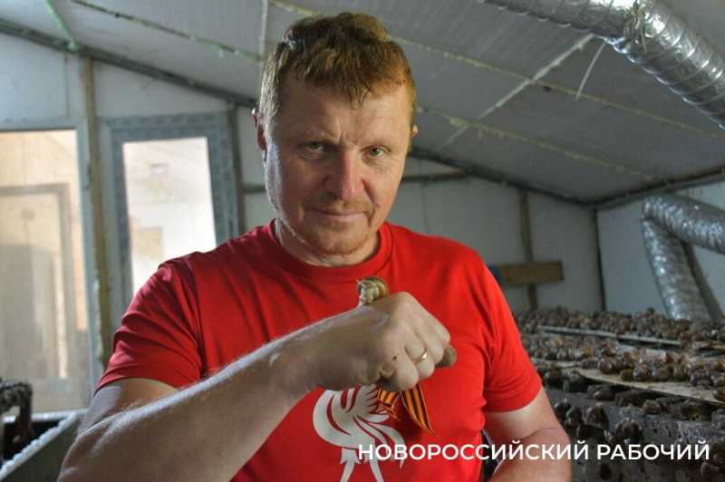 Сезон редчайшего деликатеса начался на ферме под Новороссийском &mdash; улитки мечут икру