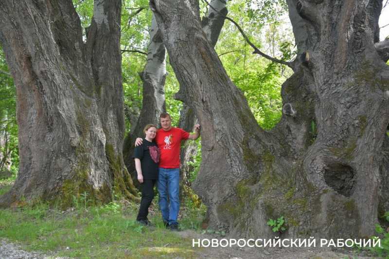 Сезон редчайшего деликатеса начался на ферме под Новороссийском &mdash; улитки мечут икру