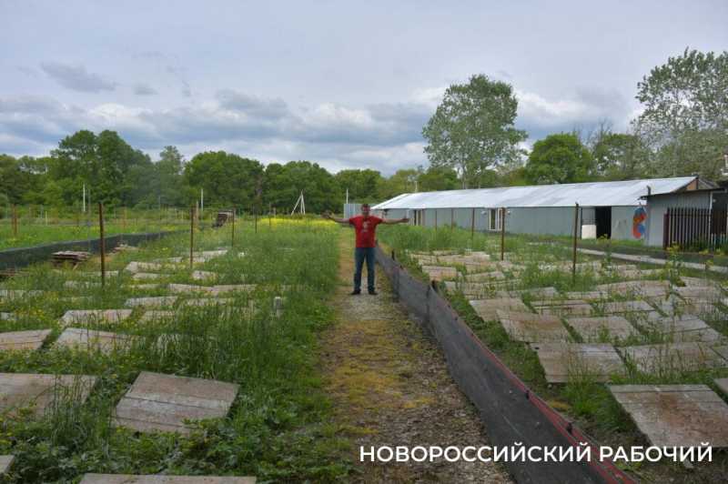 Сезон редчайшего деликатеса начался на ферме под Новороссийском &mdash; улитки мечут икру