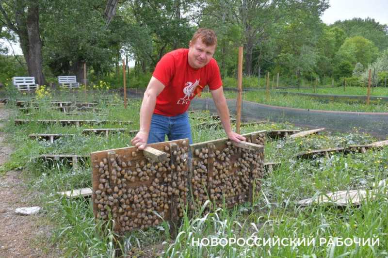 Сезон редчайшего деликатеса начался на ферме под Новороссийском &mdash; улитки мечут икру