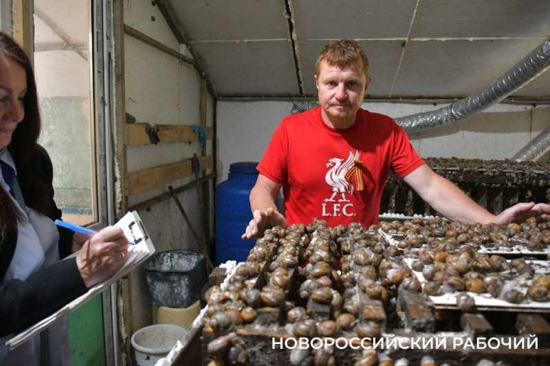 Сезон редчайшего деликатеса начался на ферме под Новороссийском &mdash; улитки мечут икру