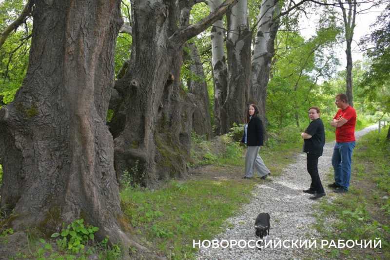 Сезон редчайшего деликатеса начался на ферме под Новороссийском &mdash; улитки мечут икру