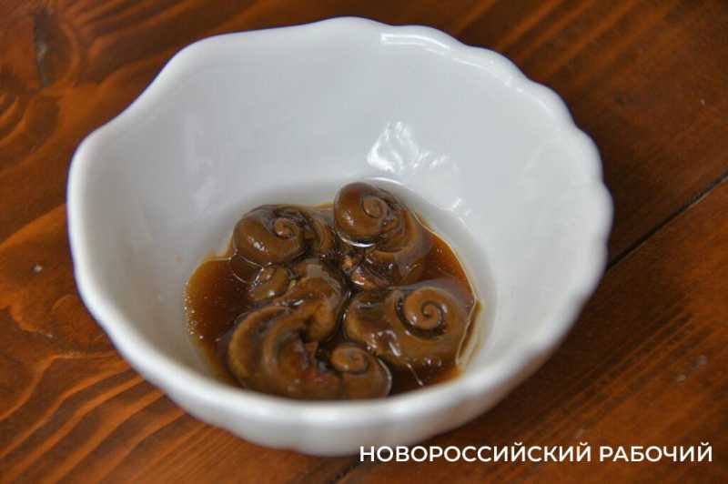 Сезон редчайшего деликатеса начался на ферме под Новороссийском &mdash; улитки мечут икру