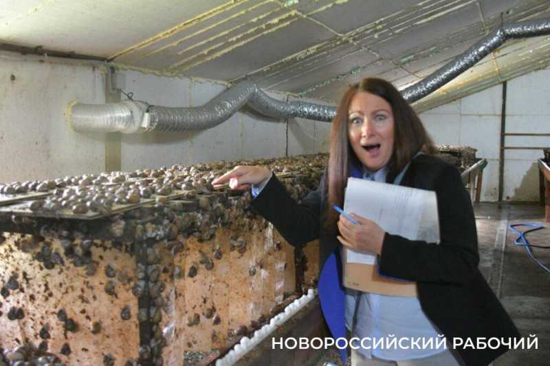 Сезон редчайшего деликатеса начался на ферме под Новороссийском &mdash; улитки мечут икру