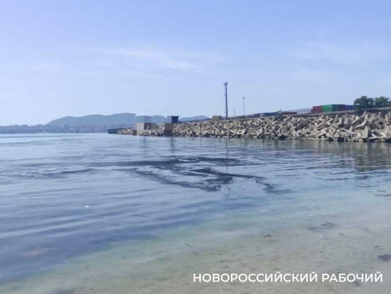 Точно не нефть. В море Новороссийска жители заметили странную матовую пленку