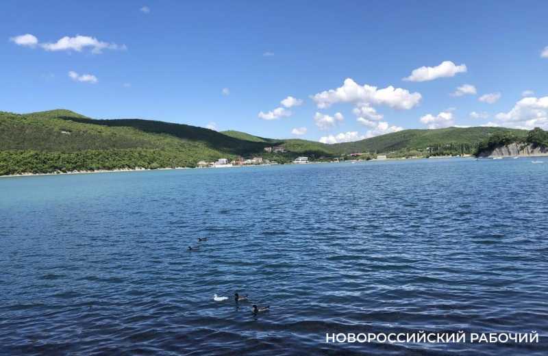 В Абрау-Дюрсо могут появиться перехватывающие парковки и новая дорога