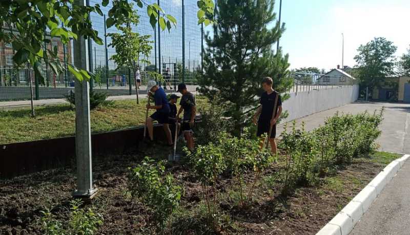 В городе-герое Новороссийске на время летних каникул смогут трудоустроиться более 2000 подростков