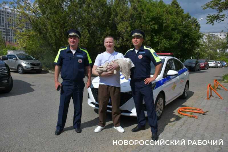 В Новороссийске экипаж ДПС с подарками встретил «крестницу», которую еле успели довезти до роддома в День Победы