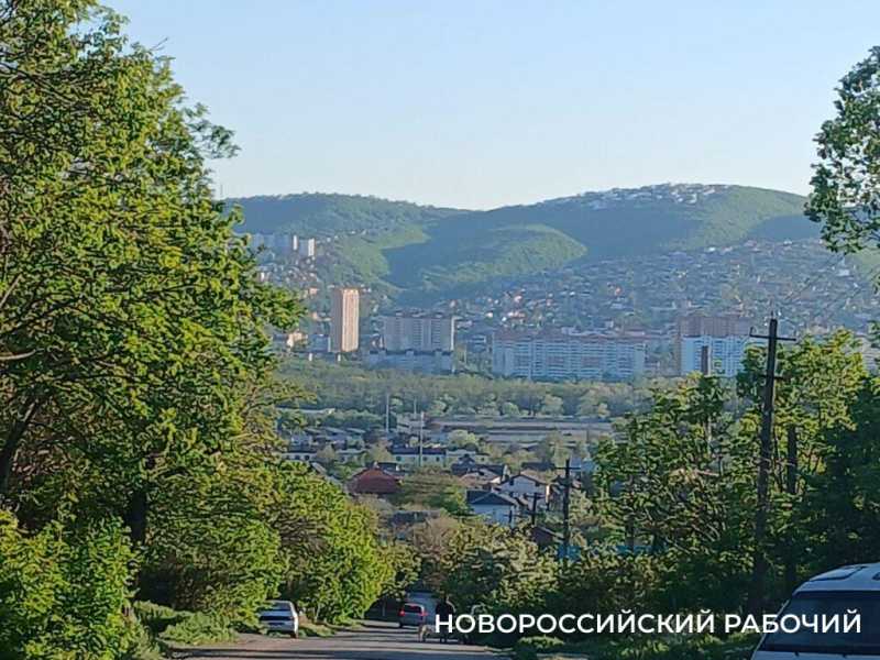 В Новороссийске Мефодиевское кладбище встречает сиренью