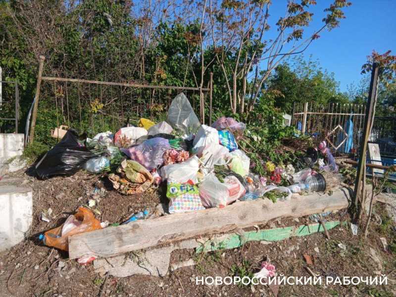 В Новороссийске Мефодиевское кладбище встречает сиренью